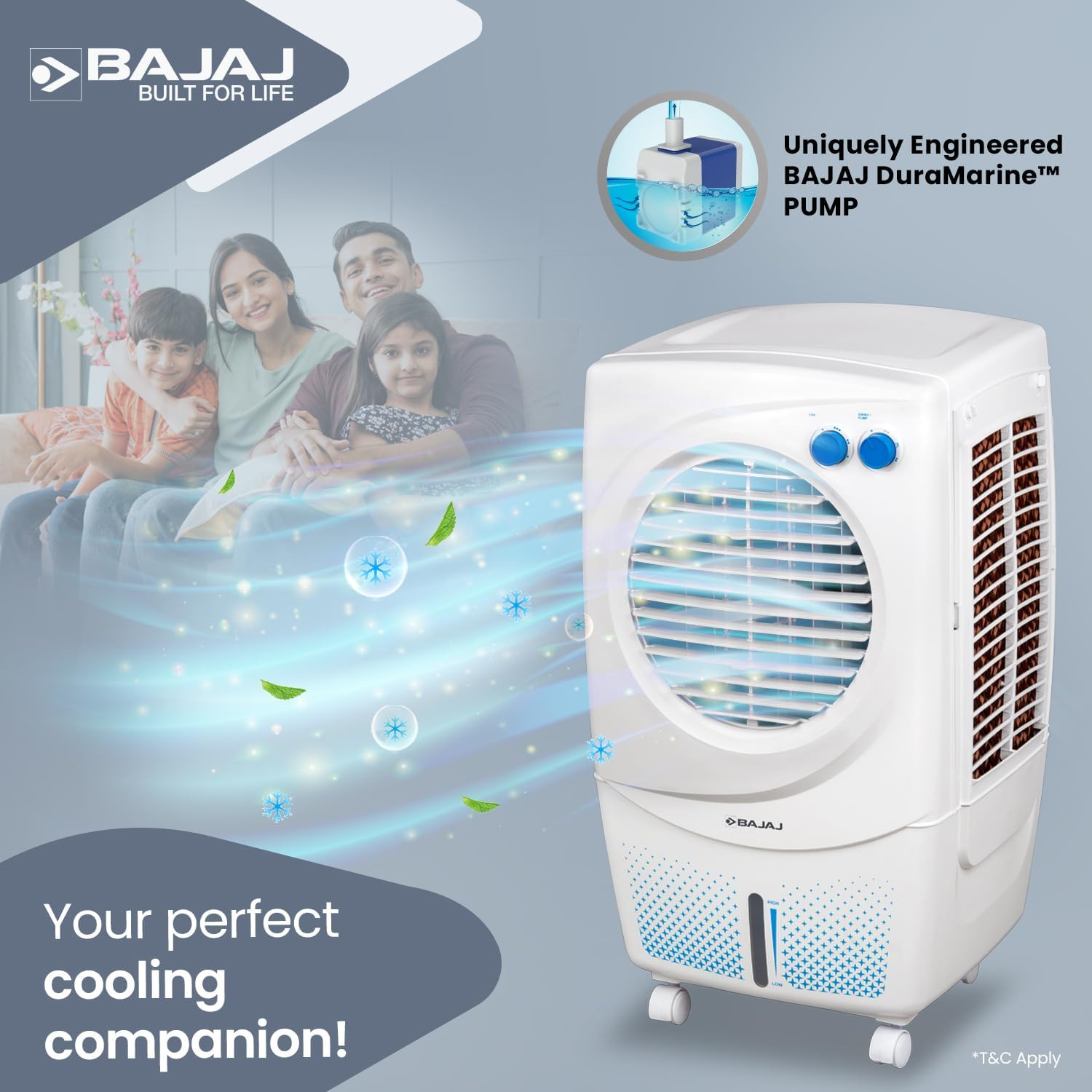 Bajaj PMH 36 Torque 36L Personal Air Cooler For Room Duramarine Pump with 2-Yr Pump Warranty 3-Yr Warranty 1 Yr Std  2 Yr Extn TurboFan Technology Powerful Air Throw 3-Speed Control Portable