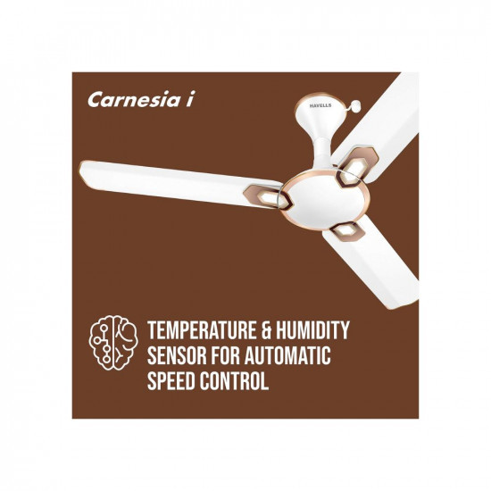 Havells Carnesia i 1200mm Ceiling Fan