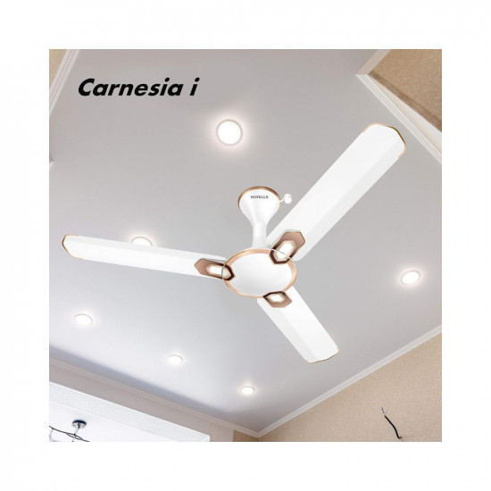 Havells Carnesia i 1200mm Ceiling Fan