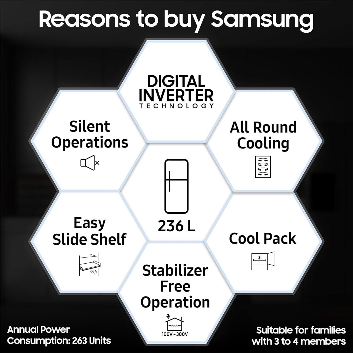 Samsung 236 L 2 Star Digital Inverter Frost Free Double Door Refrigerator RT28C3032GSHL Gray Silver 2024 Model