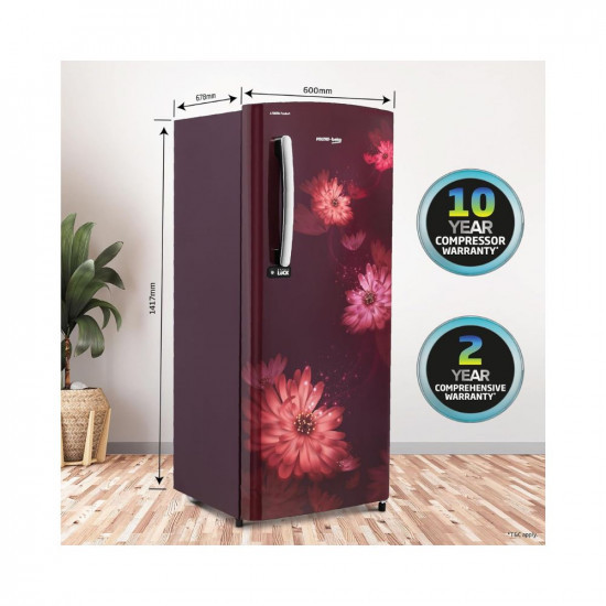 Voltas Beko A Tata Product 210 L 3 star Made-in-India Direct cool Refrigerator RDC245C  W0DWE0M000UGD Dahlia WineArshi